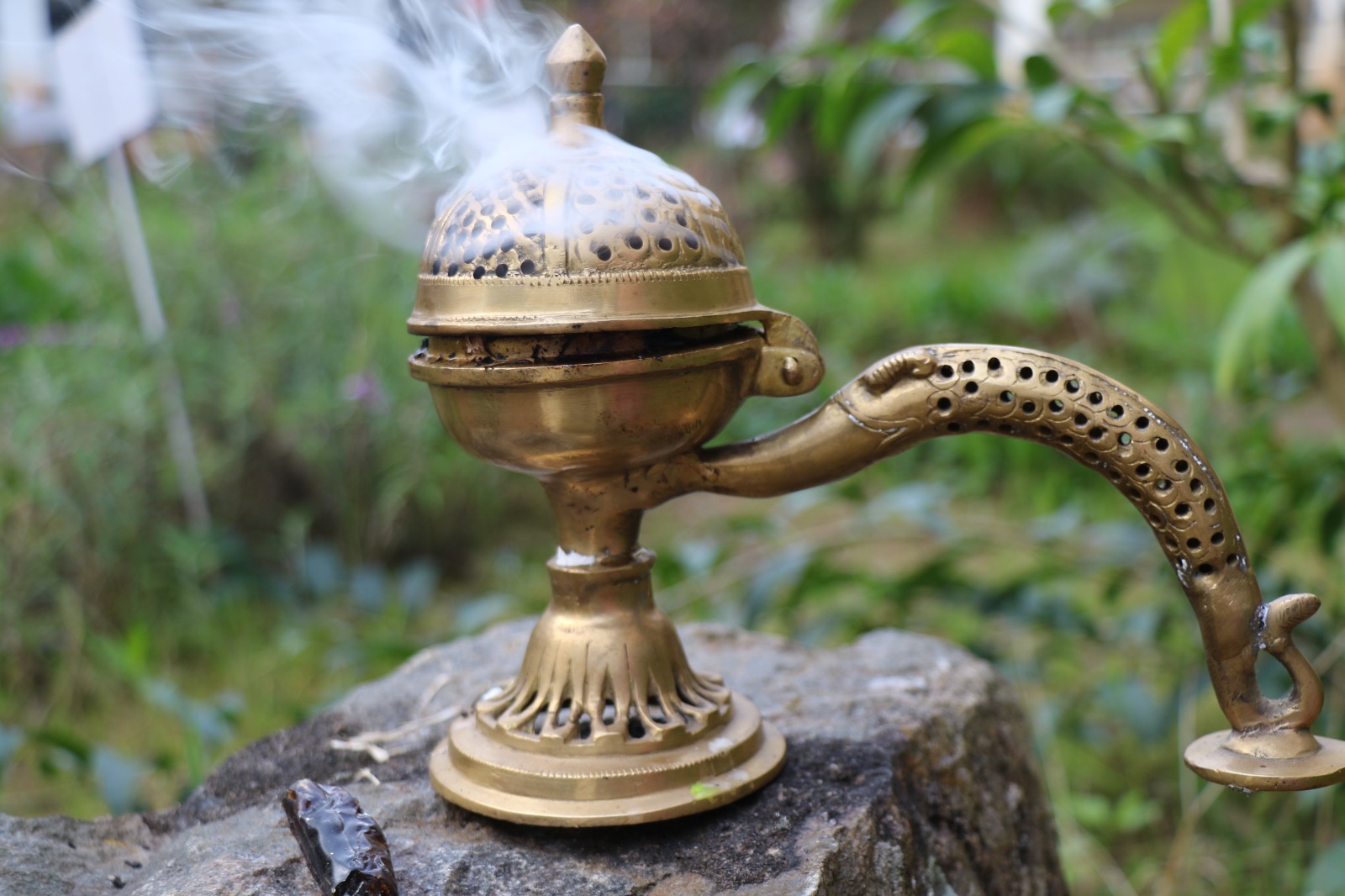 WhatsApp Image 2024-11-15 at 10.13.43 PM (1)