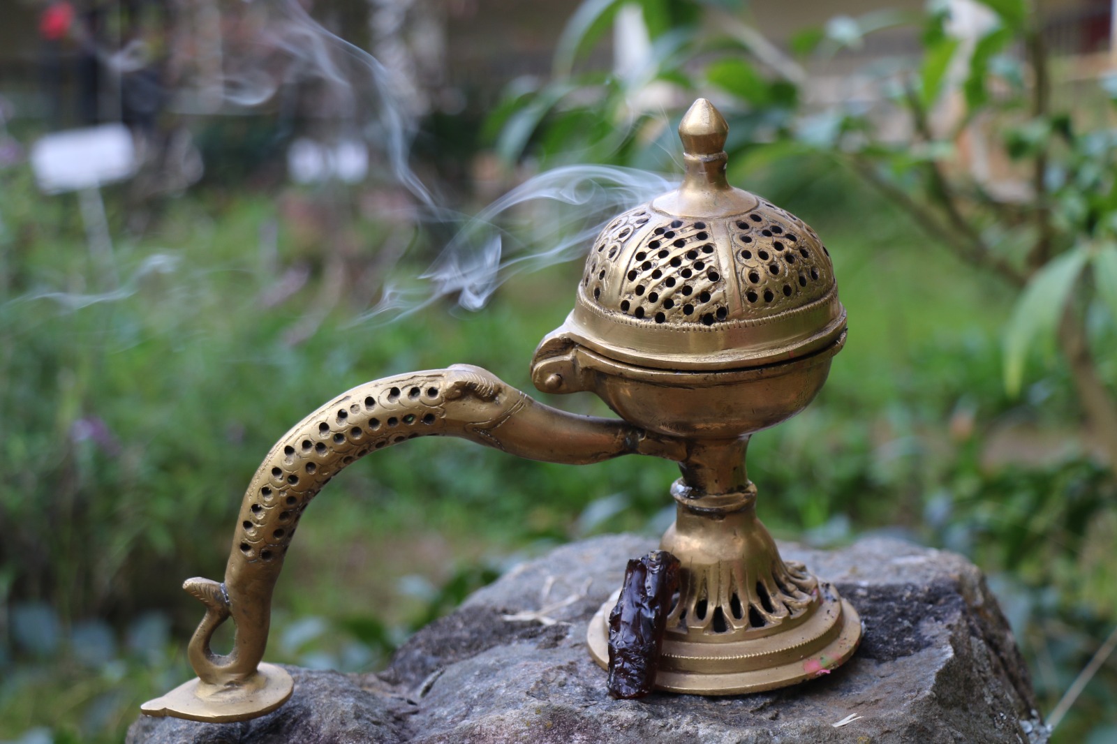 WhatsApp Image 2024-11-15 at 10.13.44 PM (1)