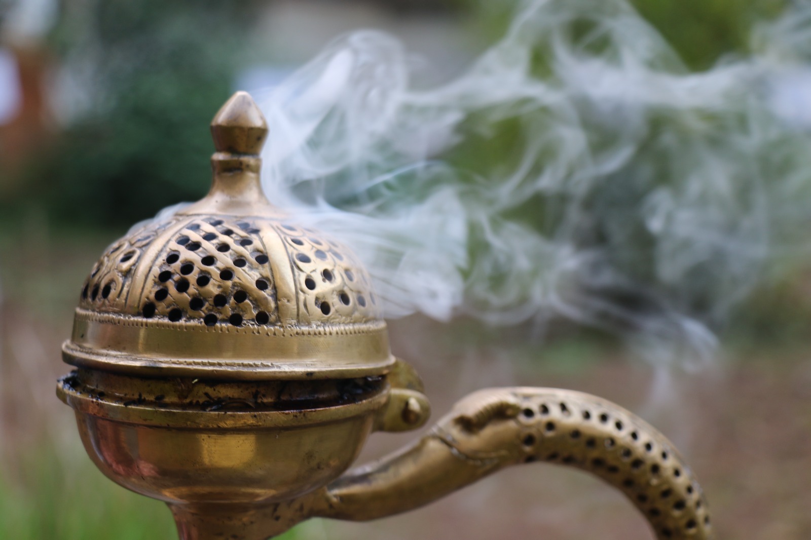 WhatsApp Image 2024-11-15 at 10.13.44 PM