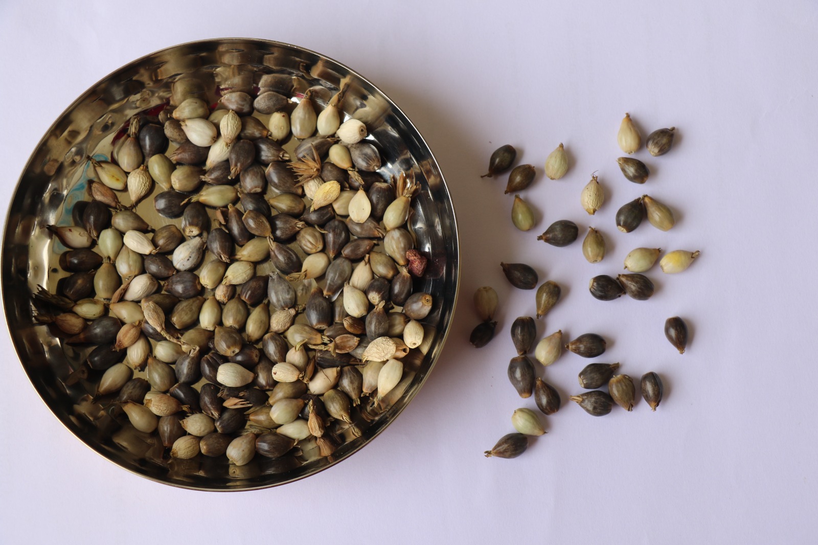 WhatsApp Image 2024-11-15 at 10.26.50 PM