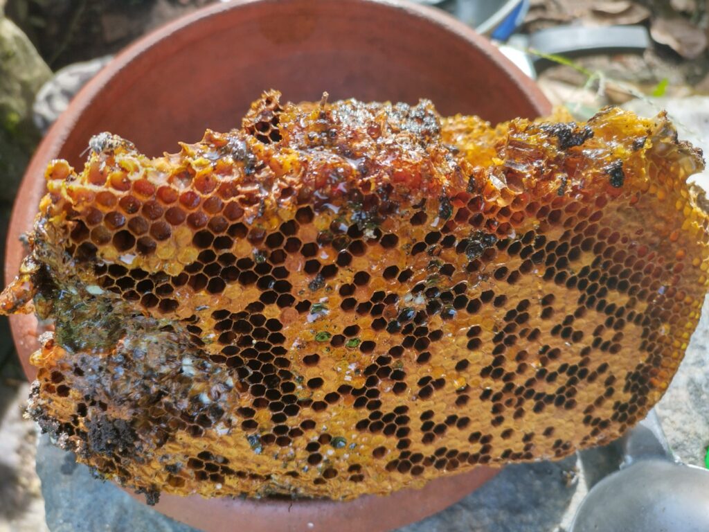 WhatsApp Image 2024-12-18 at 12.56.44 PM