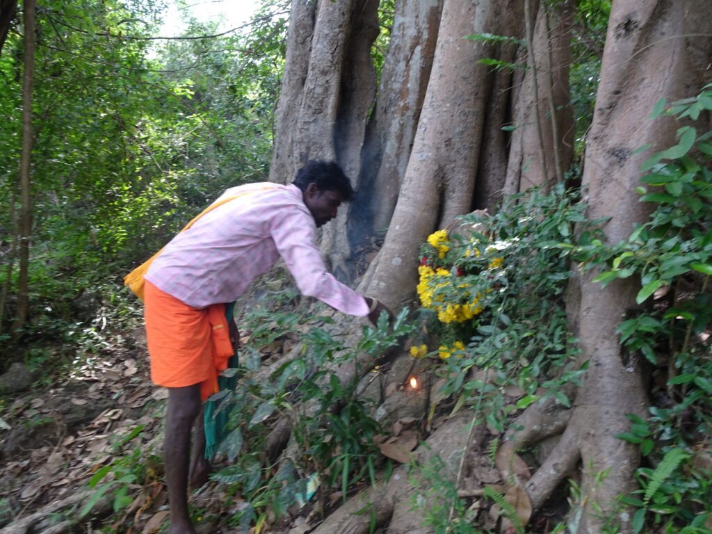 WhatsApp Image 2025-01-04 at 6.37.15 PM